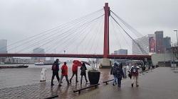 DeWandeldate: Stadswandeling Rotterdam en Kralingse Plas
