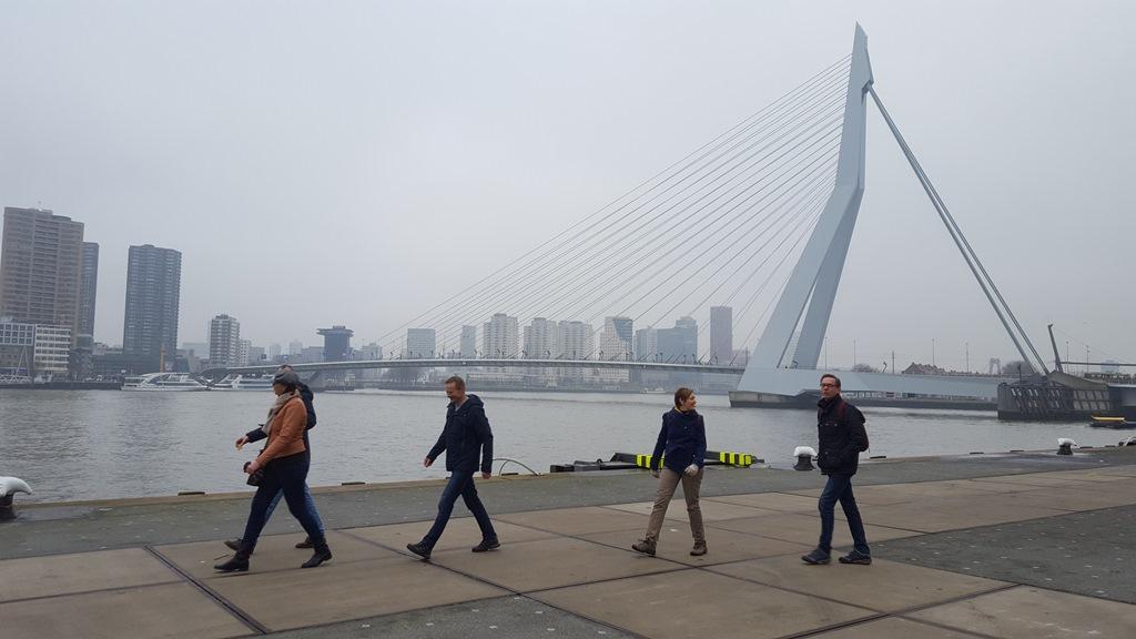 Stadswandeling door Rotterdam met Routeapp Rotterdam Routes, op de Wilhelminapier, uitzicht op de Erasmusbrug.