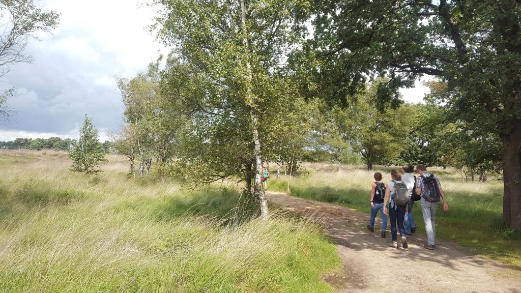 Groeps wandeldate: NS wandeling in Noord-Brabant