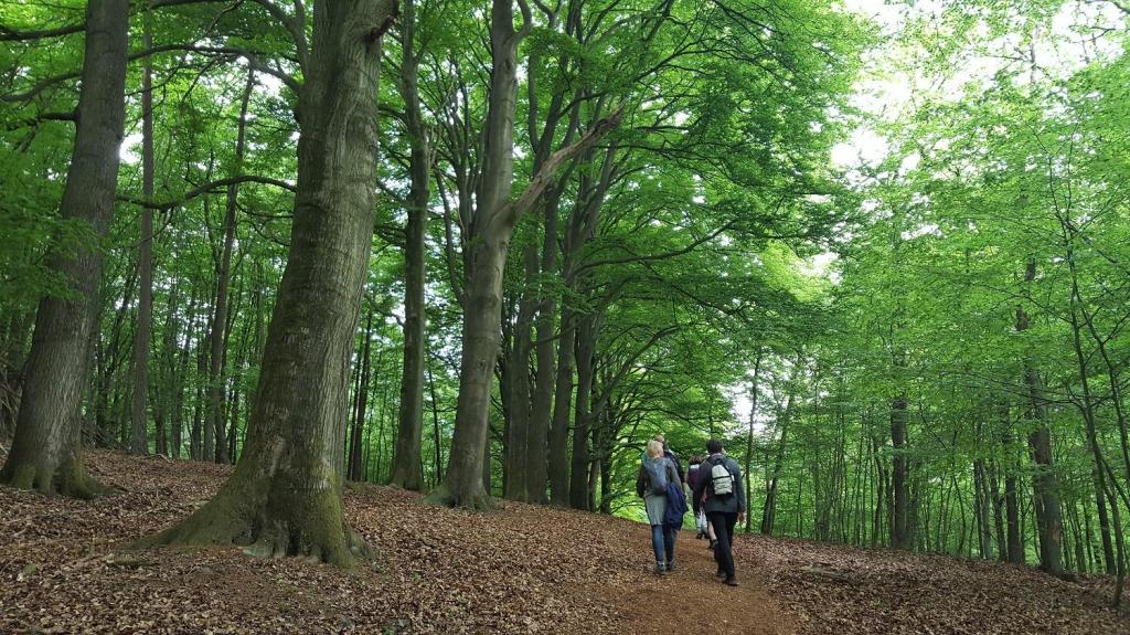 Samen wandelen in Gelderland – 10 wandeldate voorstellen