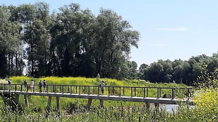 Wandeldate Nijmegen - Beek: Stadswaard, Bisonbaai en Ooijpolder