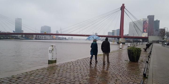 Wandelen langs de Maas in Rotterdam