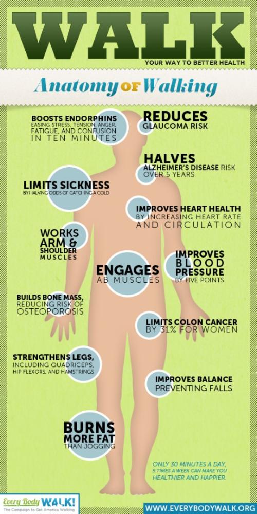 De gezondheidseffecten van wandelen
