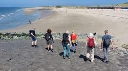 DeWandeldate: NS wandeling Zoutelande in Zeeland