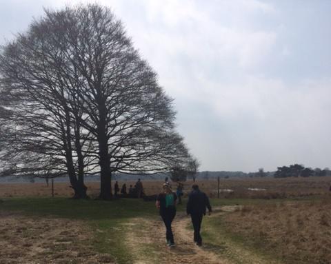 NS wandeling De Kampina met DeWandeldate in april 2018