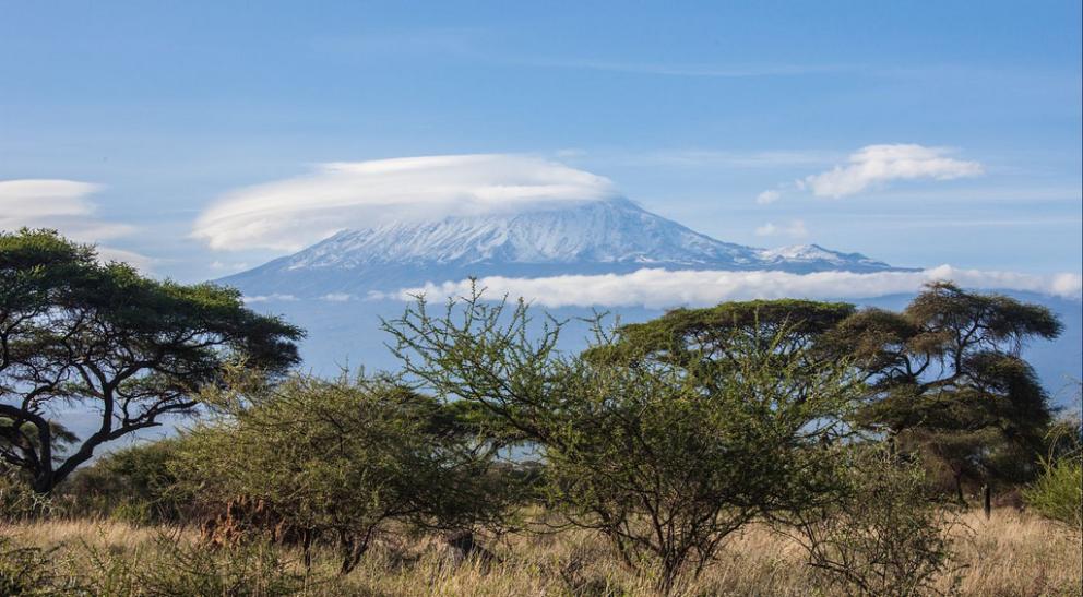Michelle ging de Kilimanjaro beklimmen .. 