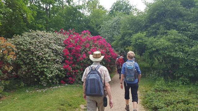 NS wandeling Belmonte met DeWandeldate, Belmonte Arboretum Wageningen.