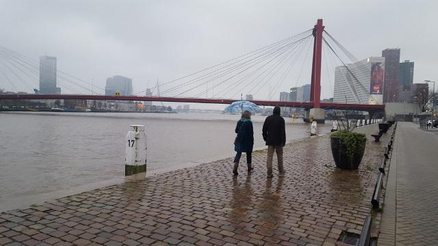 DeWandeldate Kralingenpad wandeling Rotterdam - langs de Maas 14-2-2016