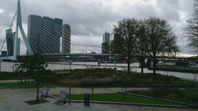 Erasmus brug Rotterdam