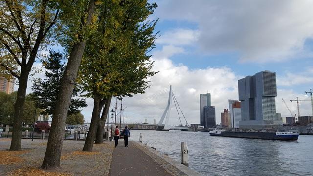 NS wandeling Rotterdam Maasstad met DeWandeldate - langs de Maas