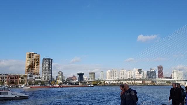 NS wandeling Rotterdam Maasstad met DeWandeldate - Kop van Zuid