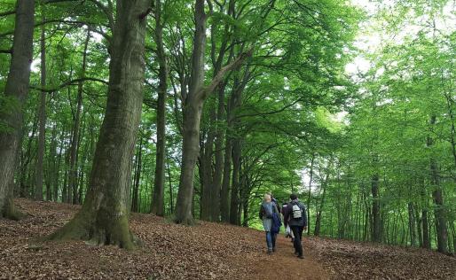 Samen wandelen in Gelderland – 10 wandeldate voorstellen